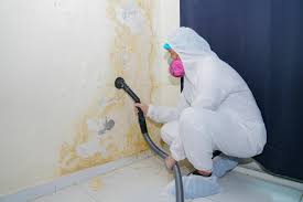 Best Mold Remediation for Healthcare Facilities  in Huntley, IL